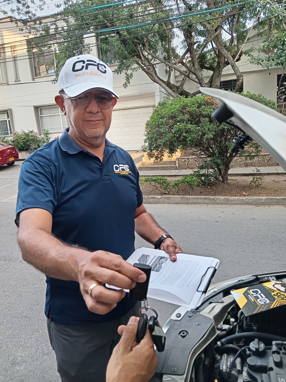 Perito profesional con informe